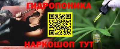 наркотики Новозыбков