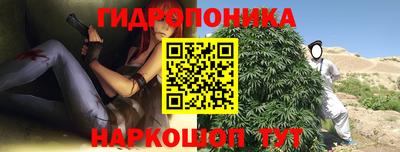 наркотики Новозыбков