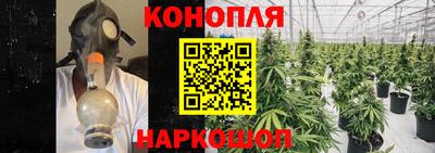 наркотики Новозыбков
